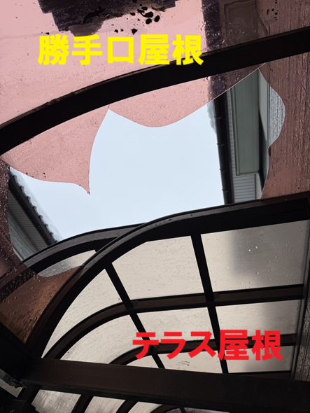 勝手口屋根のパネルに穴