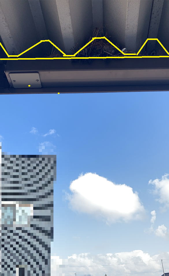 鳥の巣を作らせない為に面戸を設置