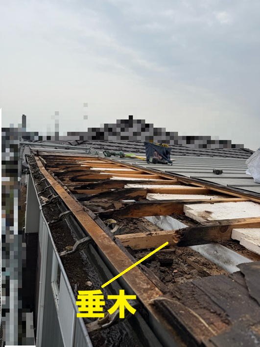 垂木が傷んでいます