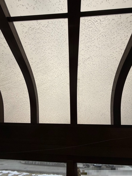 今回の破損は、単なる1枚割れではありませんでした。  全体的に「クラック現象」が起きていました。