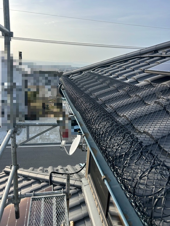 ゆきもちくん固定中