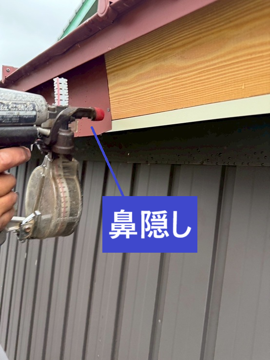 鼻隠しにもSGLガルバリウム鋼板を設置