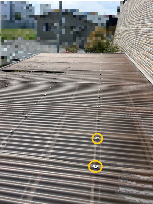 ポリカ波板のビスを外して撤去