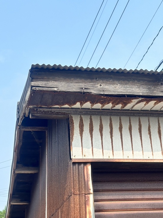 トタン波板の屋根が錆びてもろくなっています