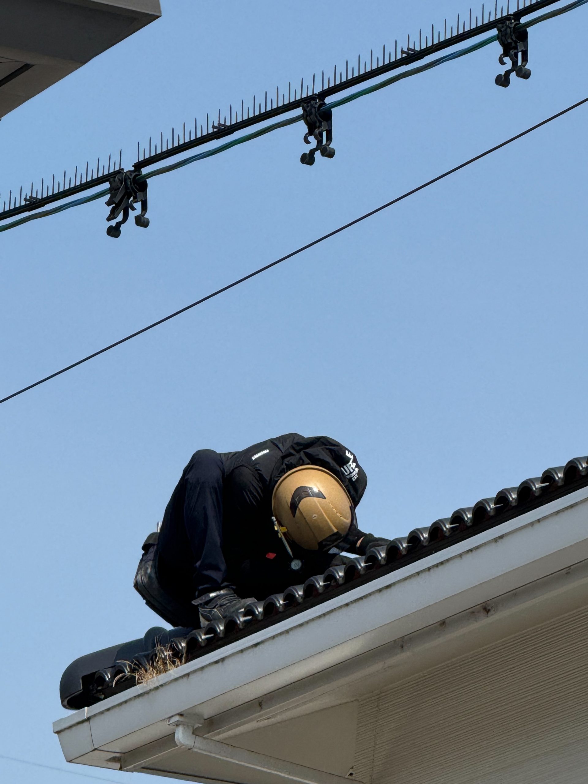 瓦の下も鳥の巣がないか確認していきます