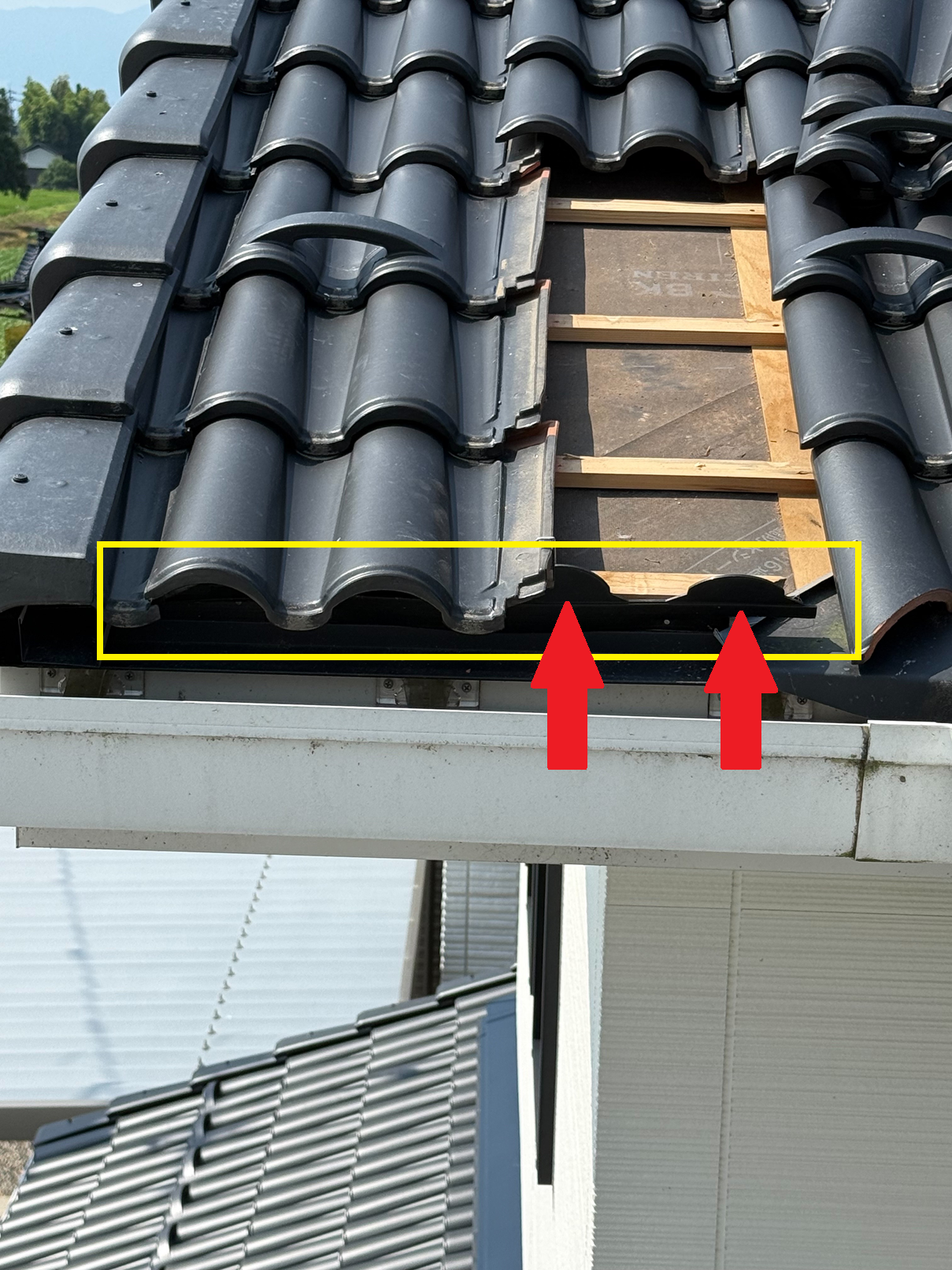 瓦の面戸が樹脂製なので、樹脂製の面戸から鳥が侵入していたようです。