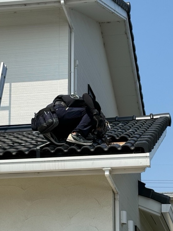 １階屋根の瓦の下の鳥の巣確認