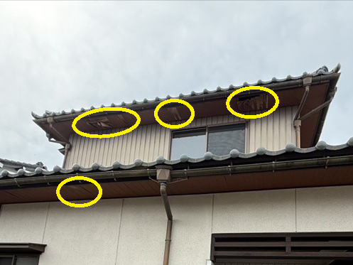 正面の軒天