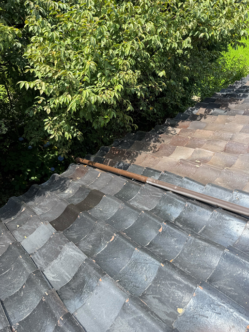 新しい這樋を屋根に固定