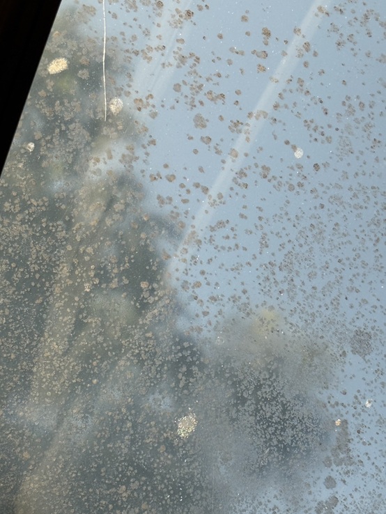 サンルームの屋根パネルがくすみ、剝げてきています