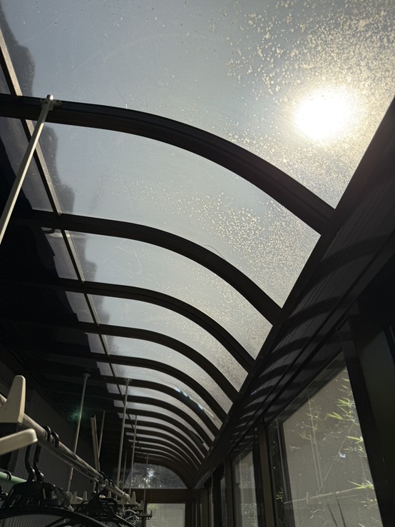 サンルームの屋根パネルがくすみ、剝げてきています