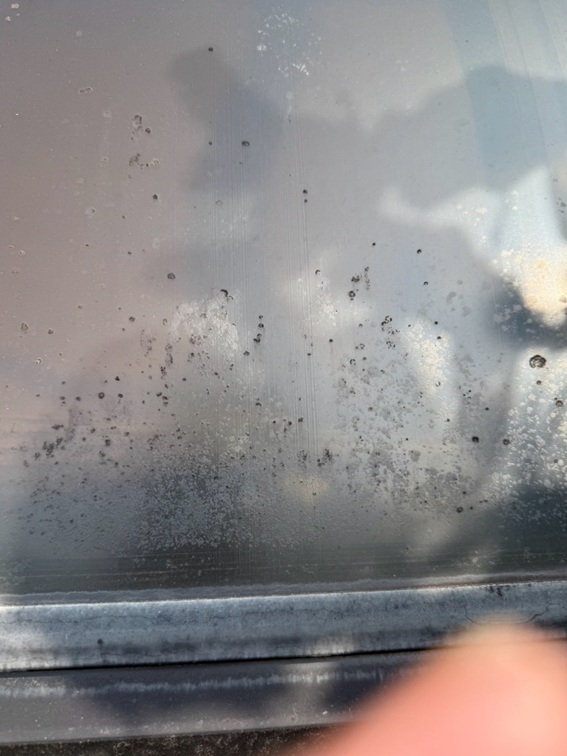 サンルーム屋根パネル変色