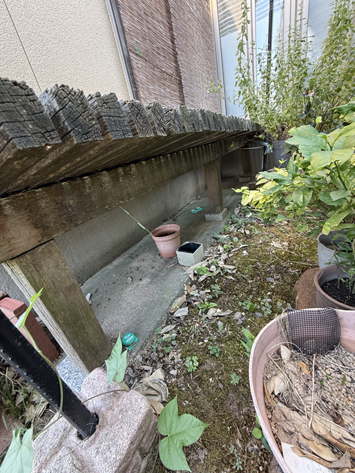 傷んでいる濡れ縁