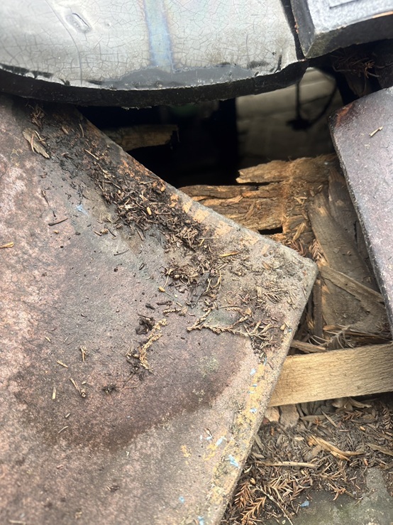 瓦屋根の下地も傷んでいます