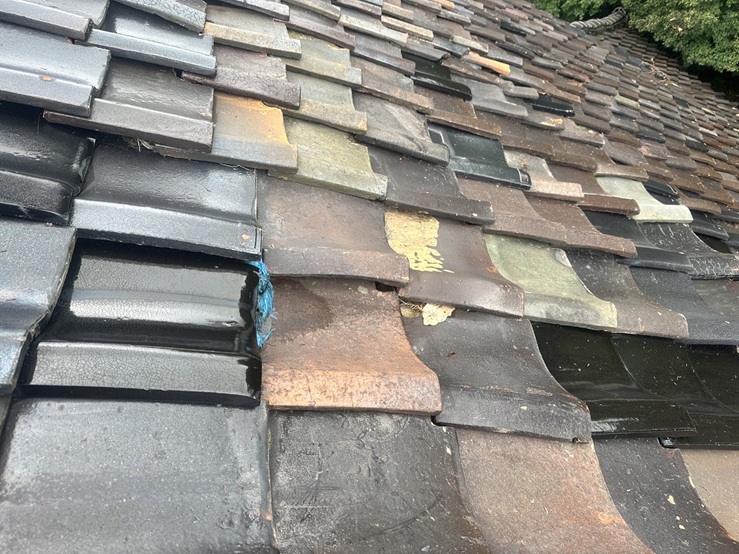 ビニールなどで雨漏りの応急処置されていたようです