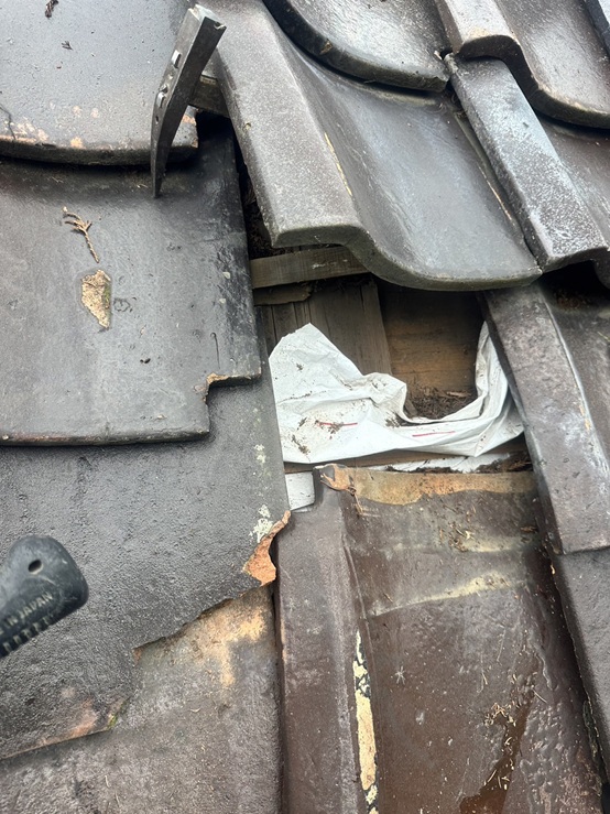 ビニールなどで雨漏りの応急処置されていたようです