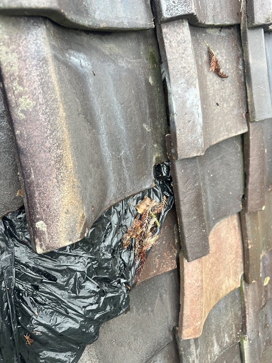 ビニールなどで雨漏りの応急処置されていたようです