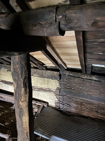 屋根裏から確認　下地が傷んでいます