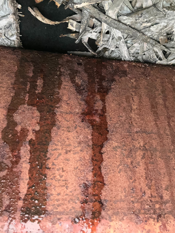 屋根の裏側から水が垂れてきました