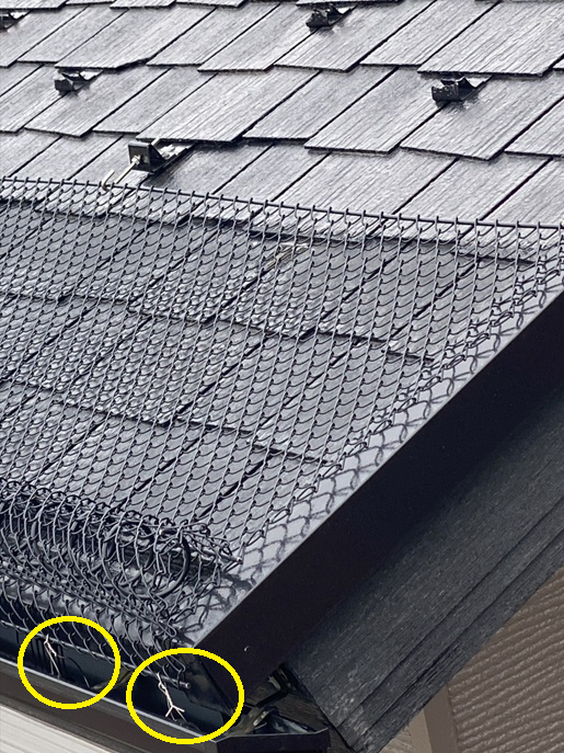 ゆきもちくん設置中