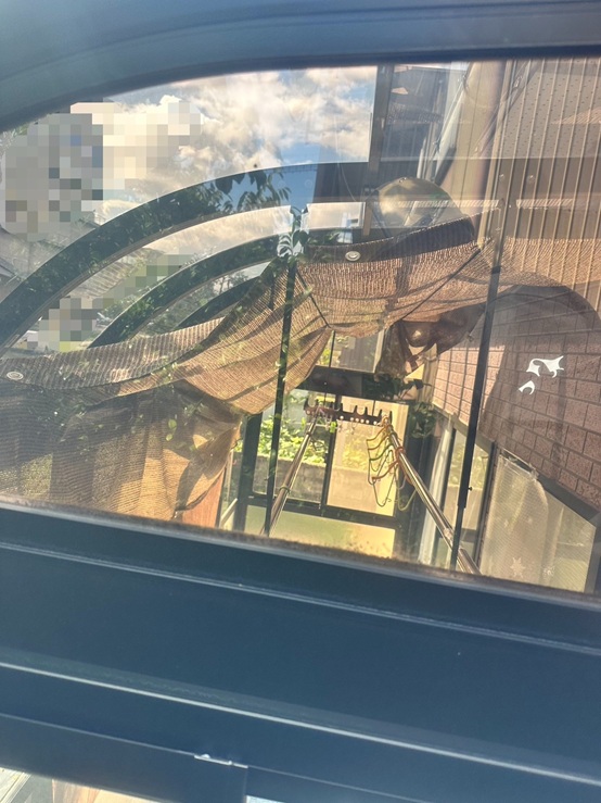 サンルームの屋根のパネル交換　施工後