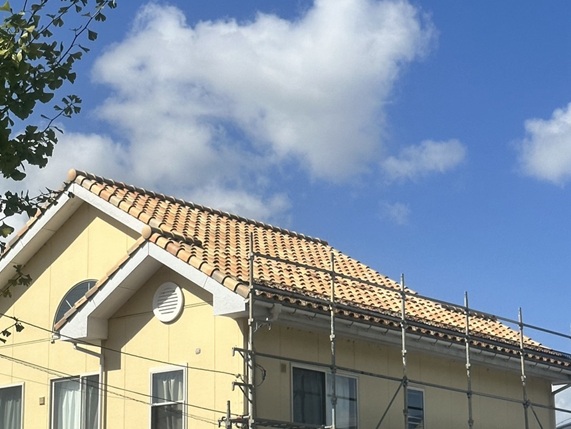 雪止めネット設置後