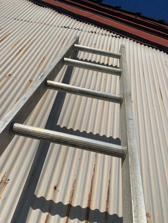 めくれていたトタン波板をビスで固定
