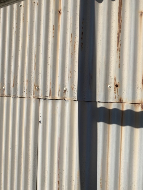 めくれていたトタン波板をビスで固定