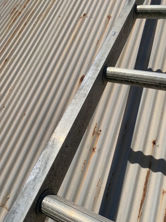 めくれていたトタン波板をビスで固定