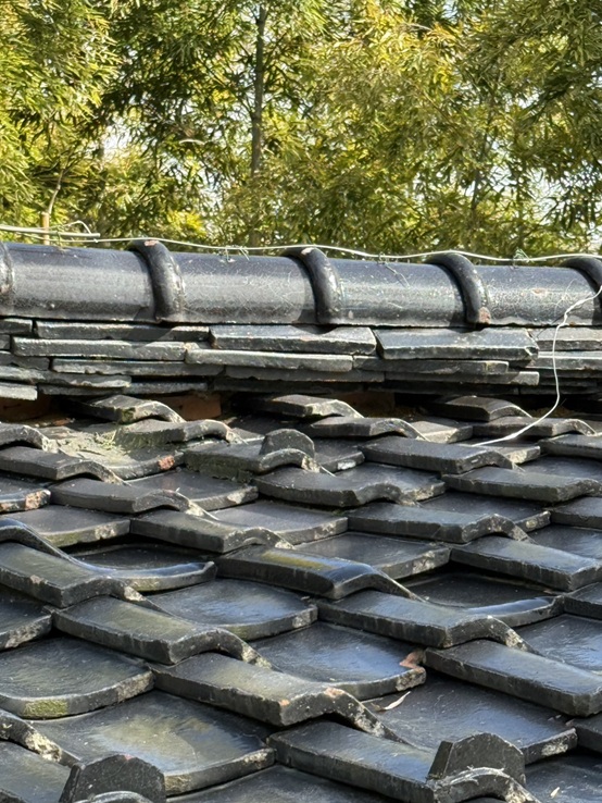 瓦のすき間を埋めてあります