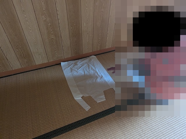 畳に置かれた応急敷物