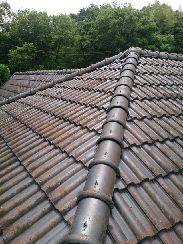 大棟付近のセメント瓦