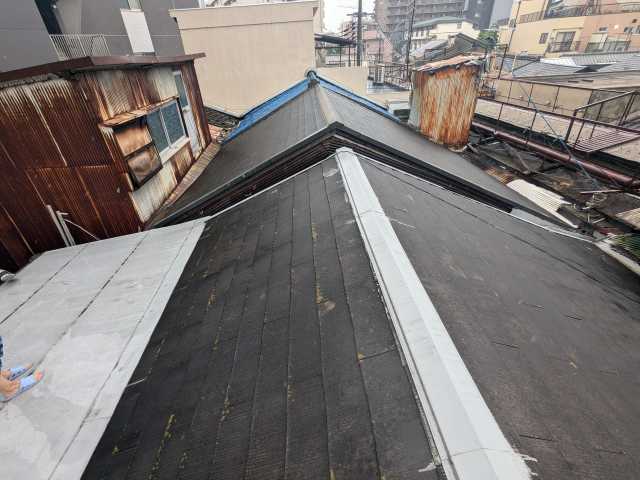 棟板金のある屋根面
