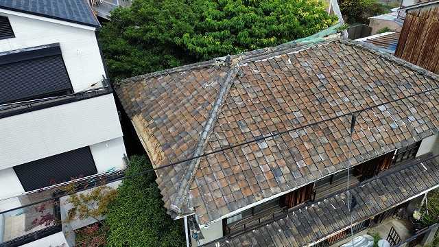 苔が広がる瓦屋根