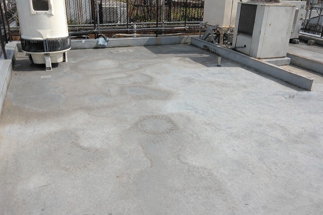 調査写真① 防水層の色ムラと凹凸の確認