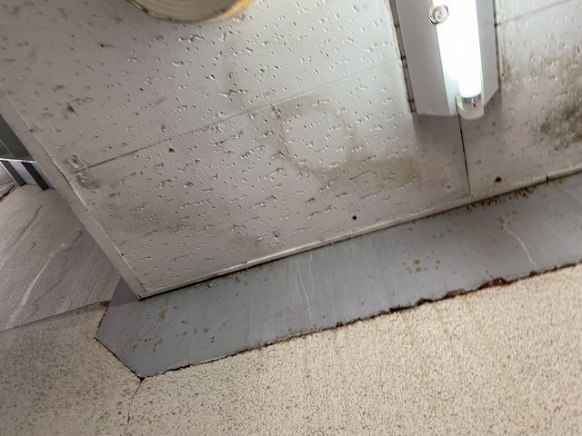 雨染み写真