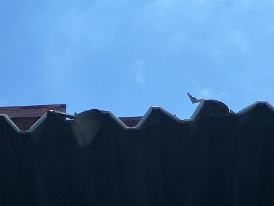 庇先端部の傷み