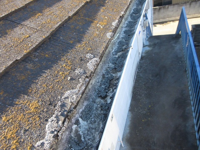 苔の生えた屋根の写真