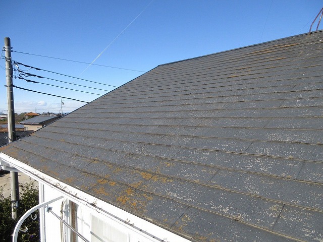 汚れた屋根の写真