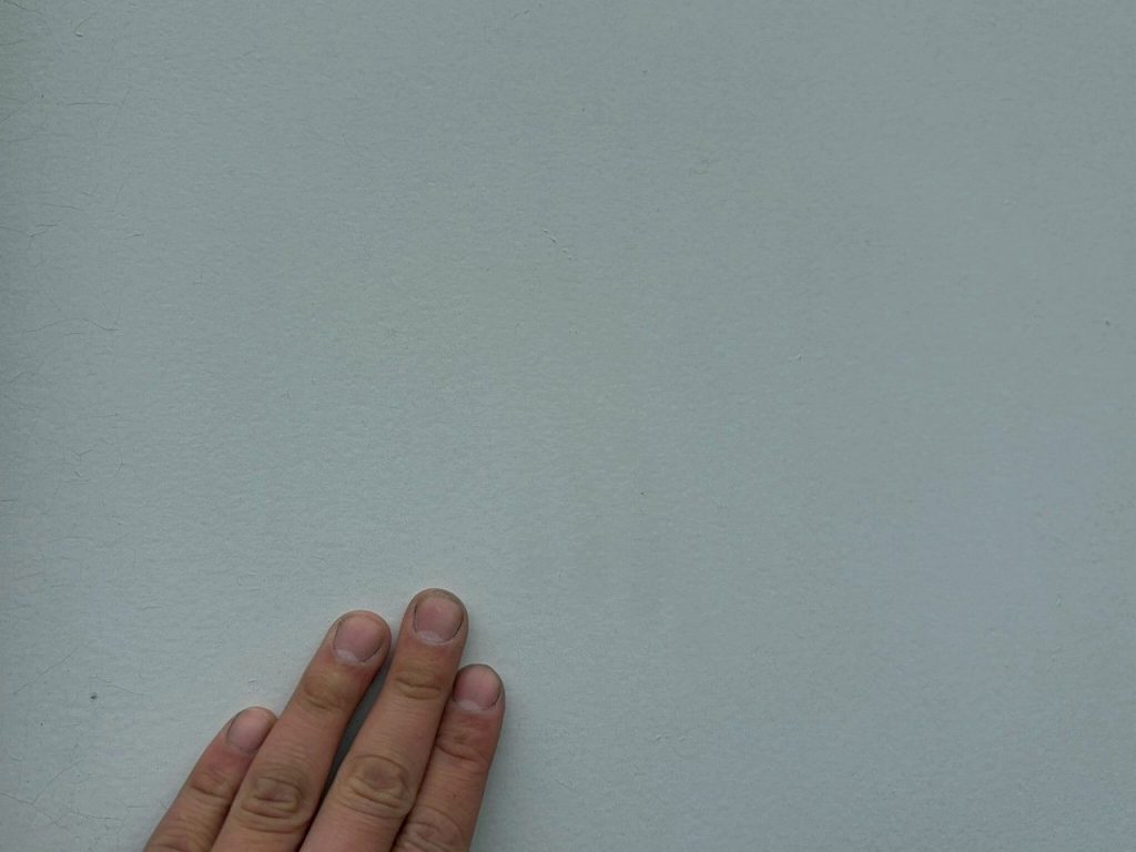 外壁表面の確認