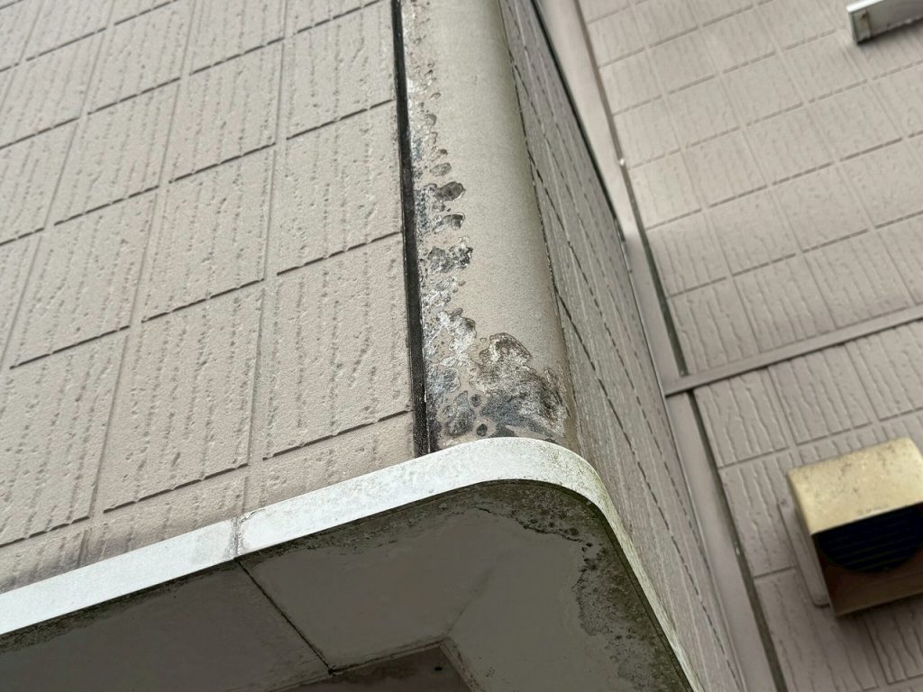 出隅の塗膜劣化