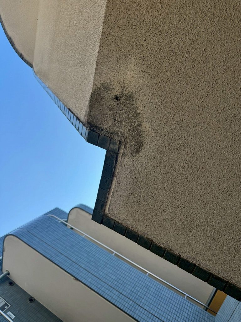 軒裏の雨染み