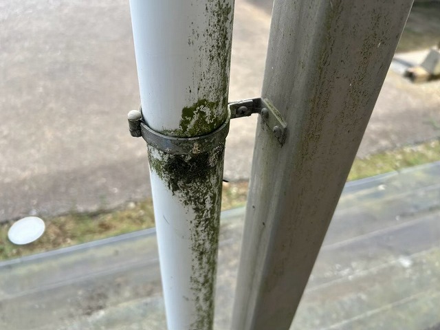 雨樋金具まわりの苔