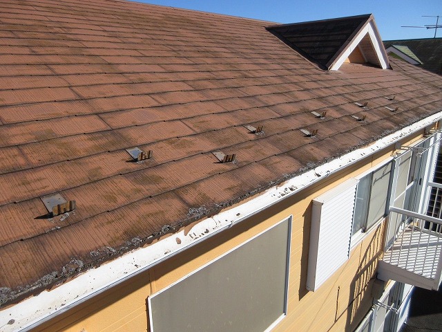 アパート屋根写真