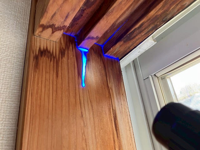 レインボービューシステムで青く反応している写真