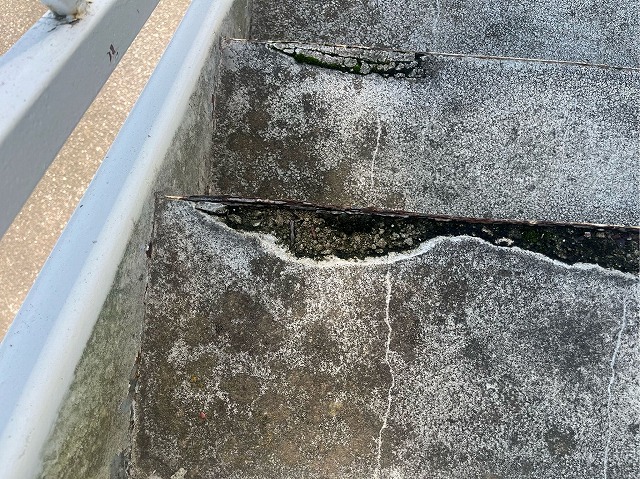 踏面目地の欠損と苔