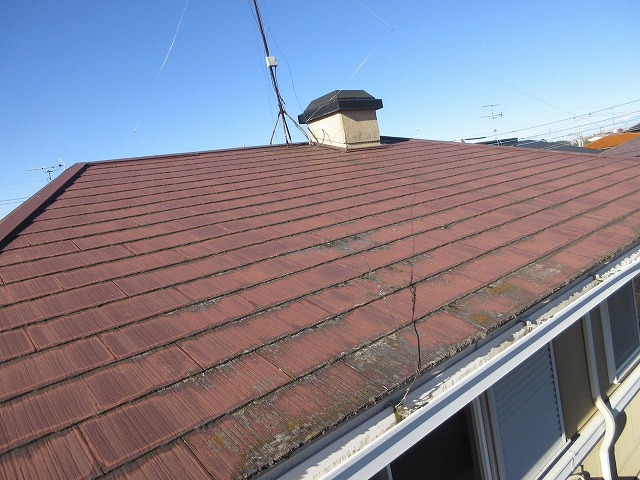 苔とひび割れた屋根の画像