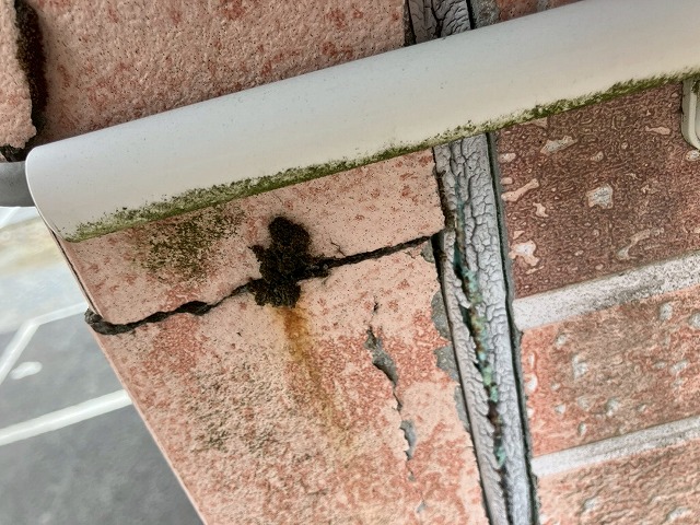 コーキングのひび割れ写真