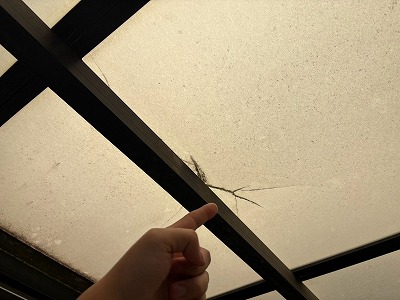 枝分かれしたひび