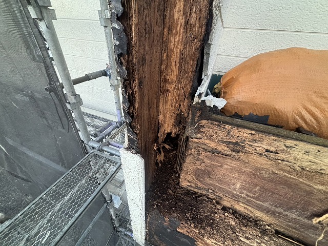 外壁をめくった木材部分がシロアリ被害にあっている写真